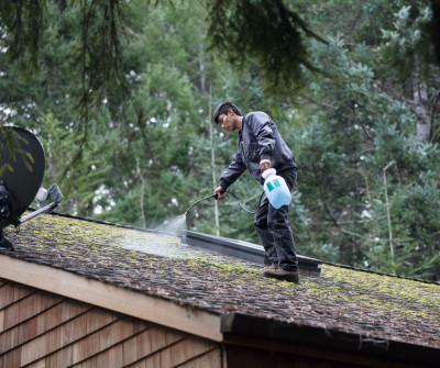 Roofing Moss Removal
