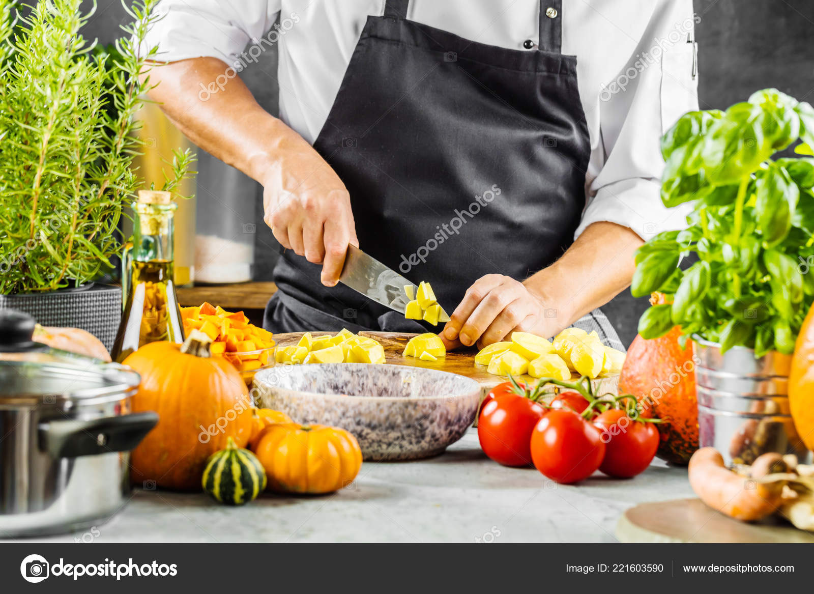 My Private Chef