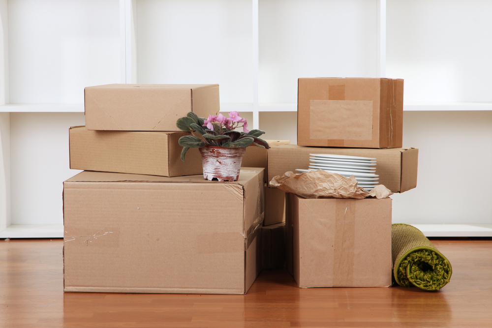 You-Pack-They-Move