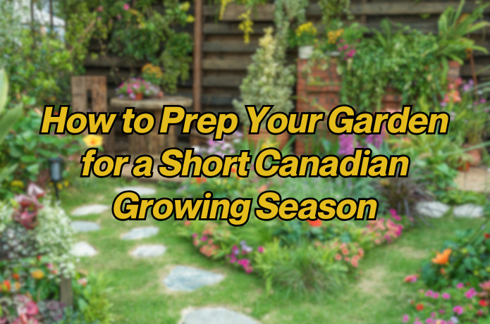 iTaskApp Services - How to Prep Your Garden for a Short Canadian Growing Season