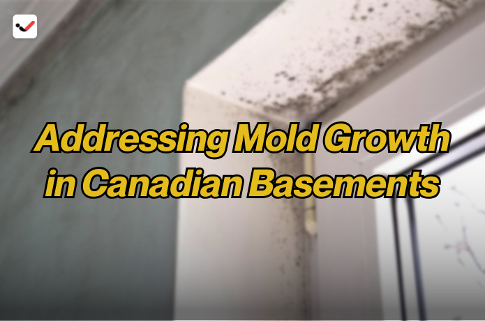 iTaskApp Services - Addressing Mold Growth in Canadian Basements