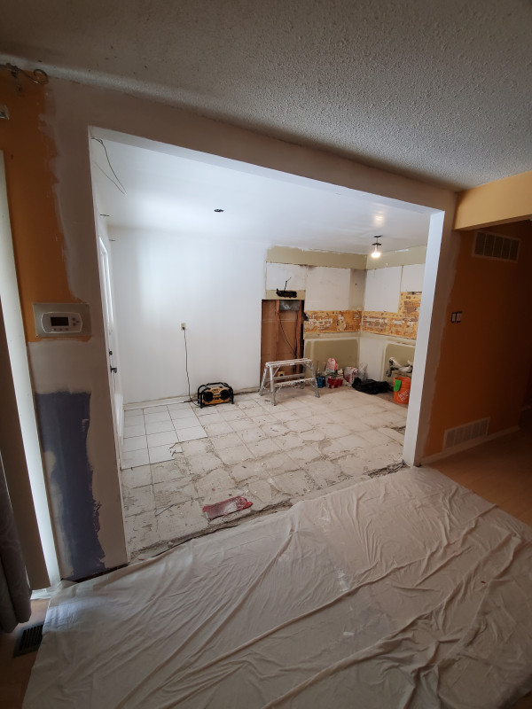 Kitchen Renovation