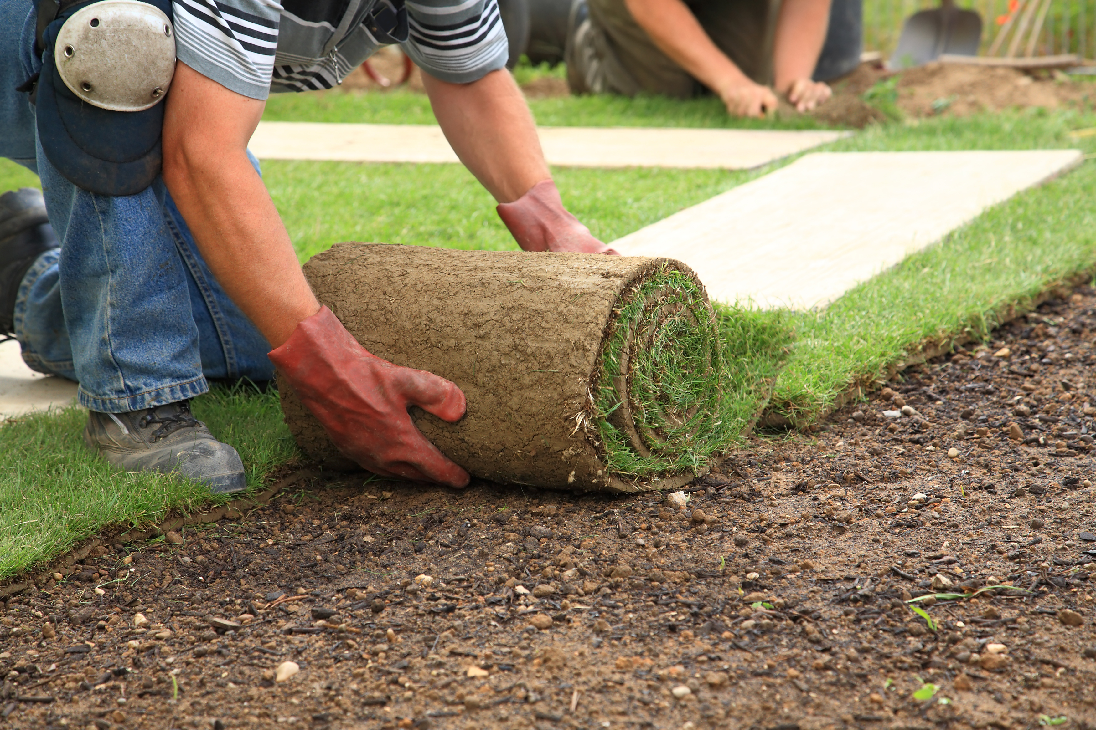 Other in Landscaping